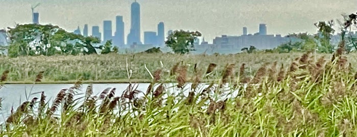 Jamaica Bay Wildlife Refuge is one of JYOTI's Saved Places.