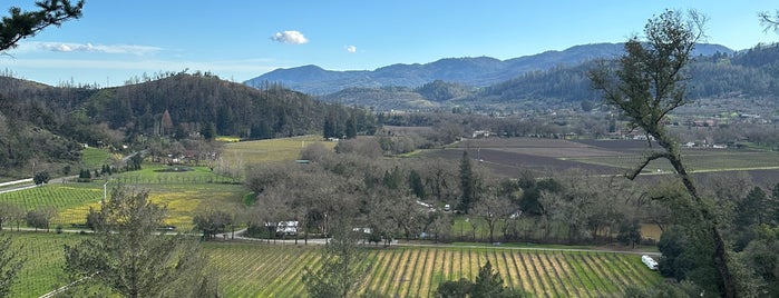 Rombauer Vineyards is one of Wine Country.