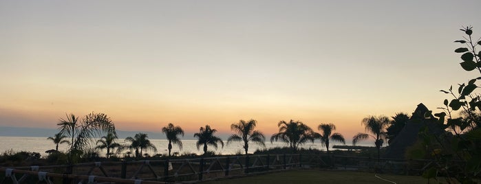 El palmar Beach Restaurant is one of Guadalajara.