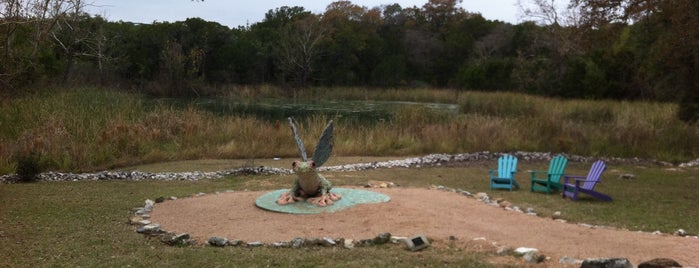 Bee Cave Sculpture Park is one of Austin area.