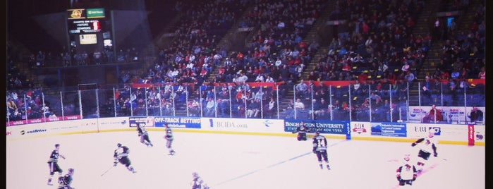 Floyd L Maines Veterans Memorial Arena is one of AHL Arenas.