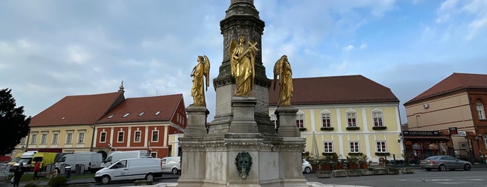 Virgin Mary with Angels Statue & Fountain is one of Zagrep- Dubrovnik.