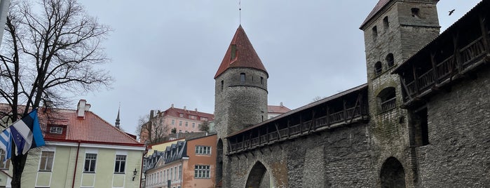 Linnamüüri tornid (City walls and towers) is one of Best of Tallinn, Estonia.