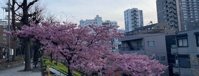 清和公園 is one of 神輿で訪れた場所-1.