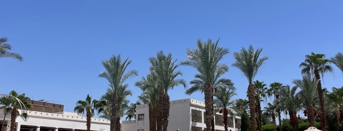 Hilton Luxor Resort & Spa is one of Misir.