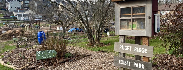 Puget Creek Greenspace is one of Seattle's 400+ Parks [Part 2].