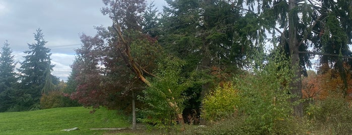 Cottage Grove Park is one of Seattle's 400+ Parks [Part 2].