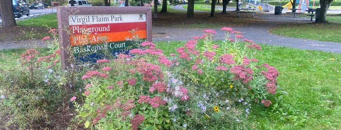 Virgil Flaim Park is one of Seattle's 400+ Parks [Part 2].