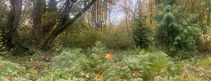 Puget Park is one of Seattle Parks and Outdoor Spaces.