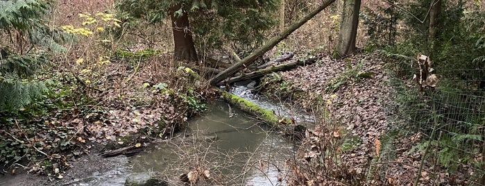 Beaver Pond Natural Area on Thornton Creek is one of Seattle's 400+ Parks [Part 3].