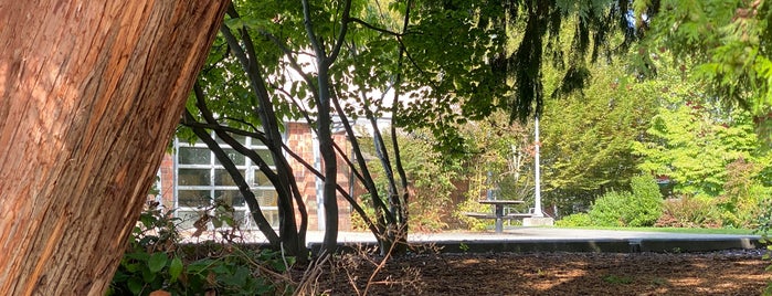 Madrona Playground is one of Playground.