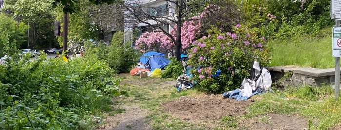 Kinnear Place is one of Seattle's 400+ Parks [Part 1].