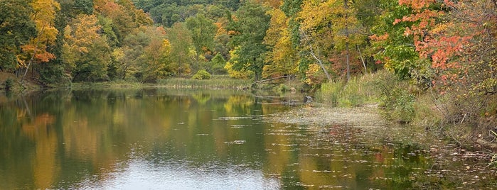 North Park Lake is one of Tempat yang Disukai Brian.