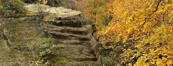 Coopers Rock State Forest is one of PA.