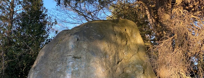 Wedgwood Rock is one of Around Ravenna (Seattle, WA).