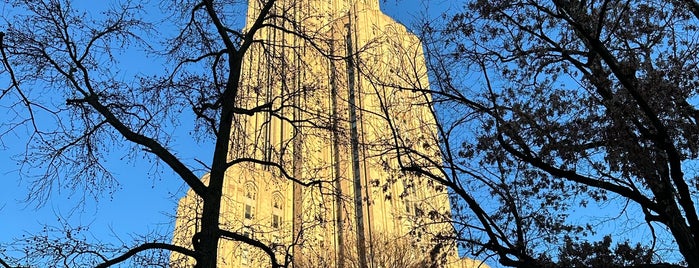 Cathedral of Learning is one of new to Pittsburgh.