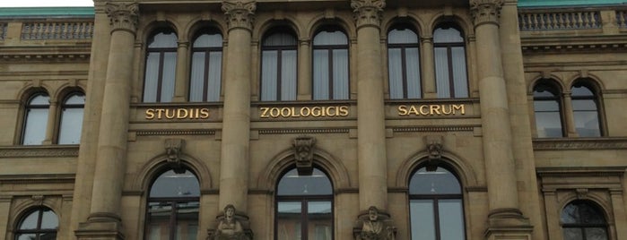 Zoologisches Forschungsmuseum Alexander Koenig is one of สถานที่ที่ Alexandra ถูกใจ.