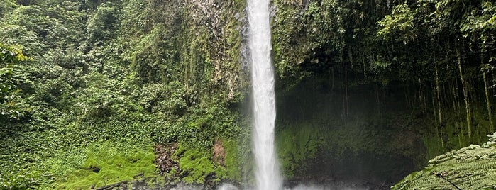 Catarata Río Fortuna is one of Costa Rica.