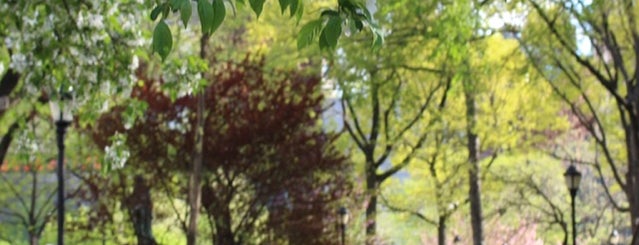 Union Square Park is one of My NYC.