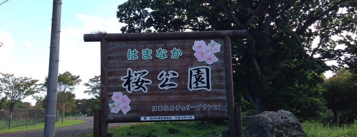 浜中桜公園 is one of VisitSpotL+ Ver6.