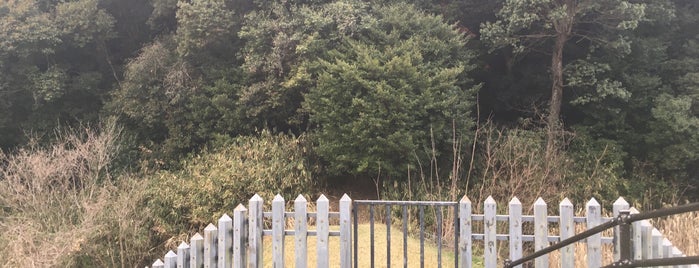 景行天皇 山邊道上陵（渋谷向山古墳） is one of 西日本の古墳 Acient Tombs in Western Japan.