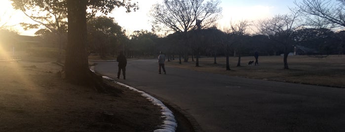 シロトピア記念公園 is one of 姫路城ビューポイント.