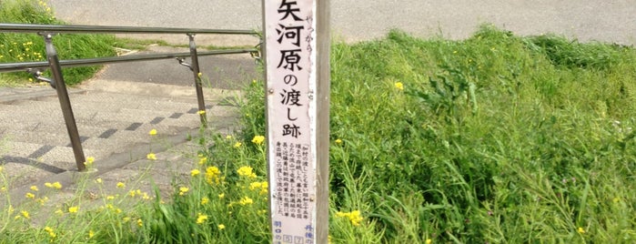 矢河原の渡し跡 is one of 江戸川CR.