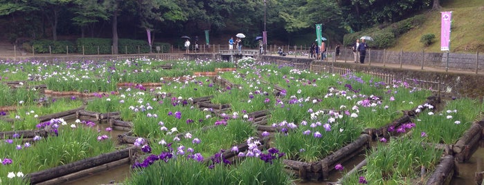 Yomiya Park is one of VisitSpotL+ Ver6.