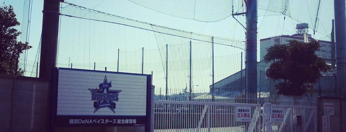 横浜DeNAベイスターズ総合練習場 is one of baseball stadiums.