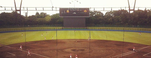 バッティングパレス相石スタジアムひらつか (平塚球場) is one of baseball stadiums.