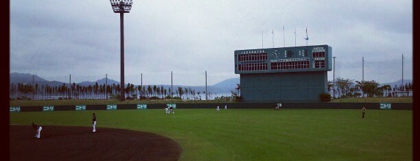 タピックスタジアム名護 is one of baseball stadiums.