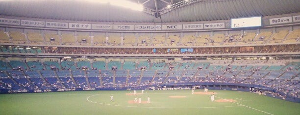 バンテリンドーム ナゴヤ is one of baseball stadiums.