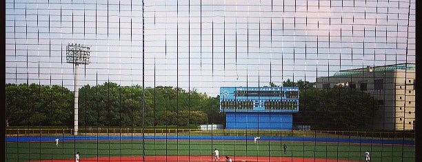 横須賀スタジアム is one of baseball stadiums.