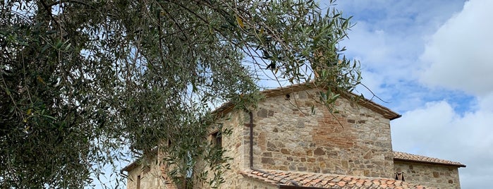 Ciacci Piccolomino d'Aragona is one of Lugares favoritos de Dany.