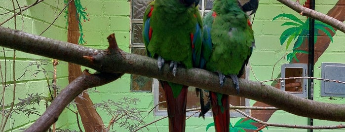 Vogelpark is one of Around NRW / Ruhrgebiet.