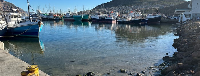 Hout Bay Harbour is one of food spots.