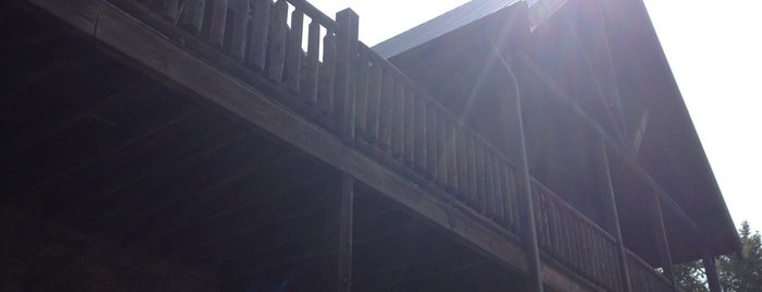 Iron Mountain Lodge Rental Cabin by Cabin Fever Vacations is one of Best Cabins in the Smokies.