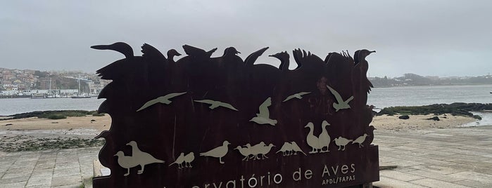 Observatório de Aves da Ribeira da Granja is one of Portugal Roadtrip 2017🇵🇹.