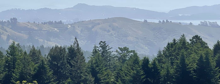 Dipsea Trail is one of Marin.