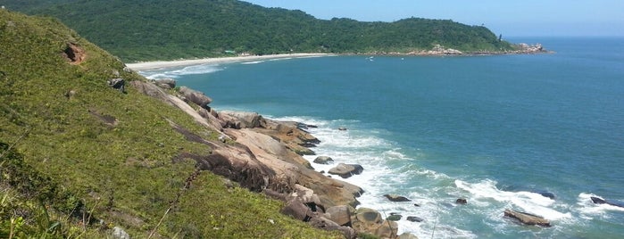 Praia de Naufragados is one of Visitar.