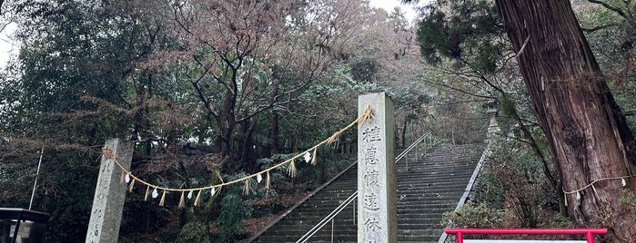 柞原八幡宮 is one of 別表神社 西日本.