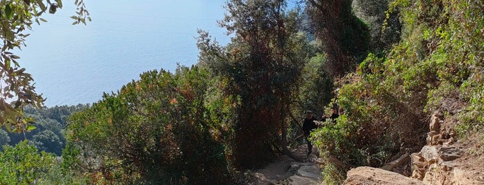Parco Nazionale delle Cinque Terre is one of Italia.