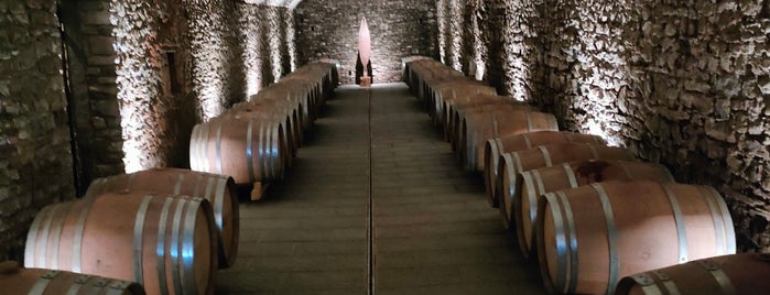 Castello d'Albola is one of Chianti Classico Direct Sales in Wineries.