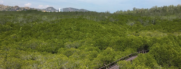 วนอุทยานแห่งชาติปราณบุรี is one of สถานที่ที่ Dale ถูกใจ.