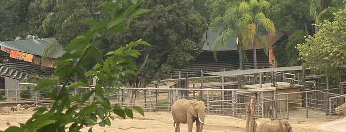 San Diego Zoo Safari Park is one of Tempat yang Disukai I.