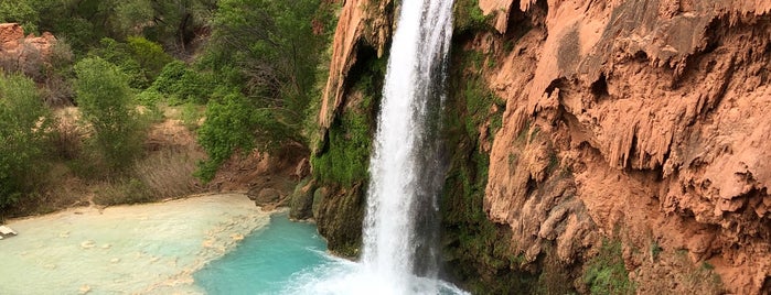 Havasu Waterfall is one of Lugares favoritos de Zach.