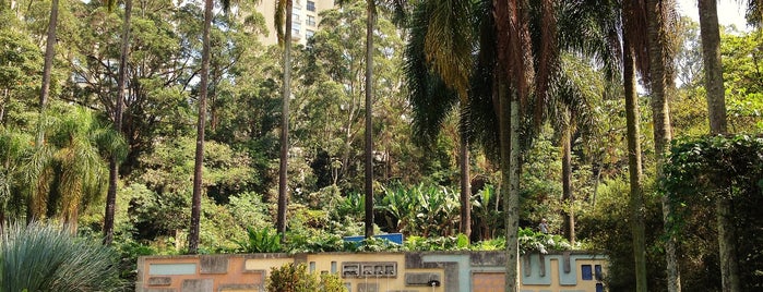 Parque Burle Marx is one of São Paulo's to do list.