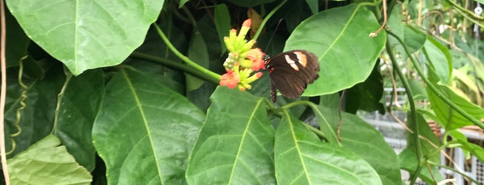 Cleveland Botanical Garden is one of Orte, die Wendy gefallen.