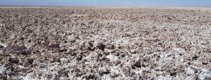 Salar de Atacama is one of สถานที่ที่ Alan ถูกใจ.