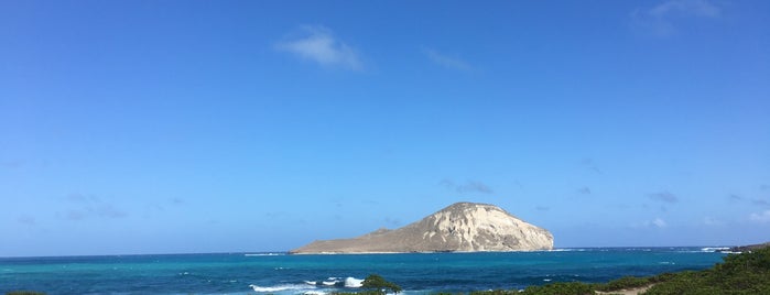 Mānana (Rabbit Island) is one of Travels.